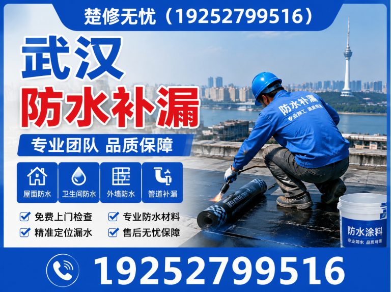 洪山区渗漏检测展示图